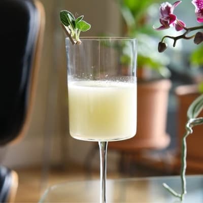 Espiritu de Santiago