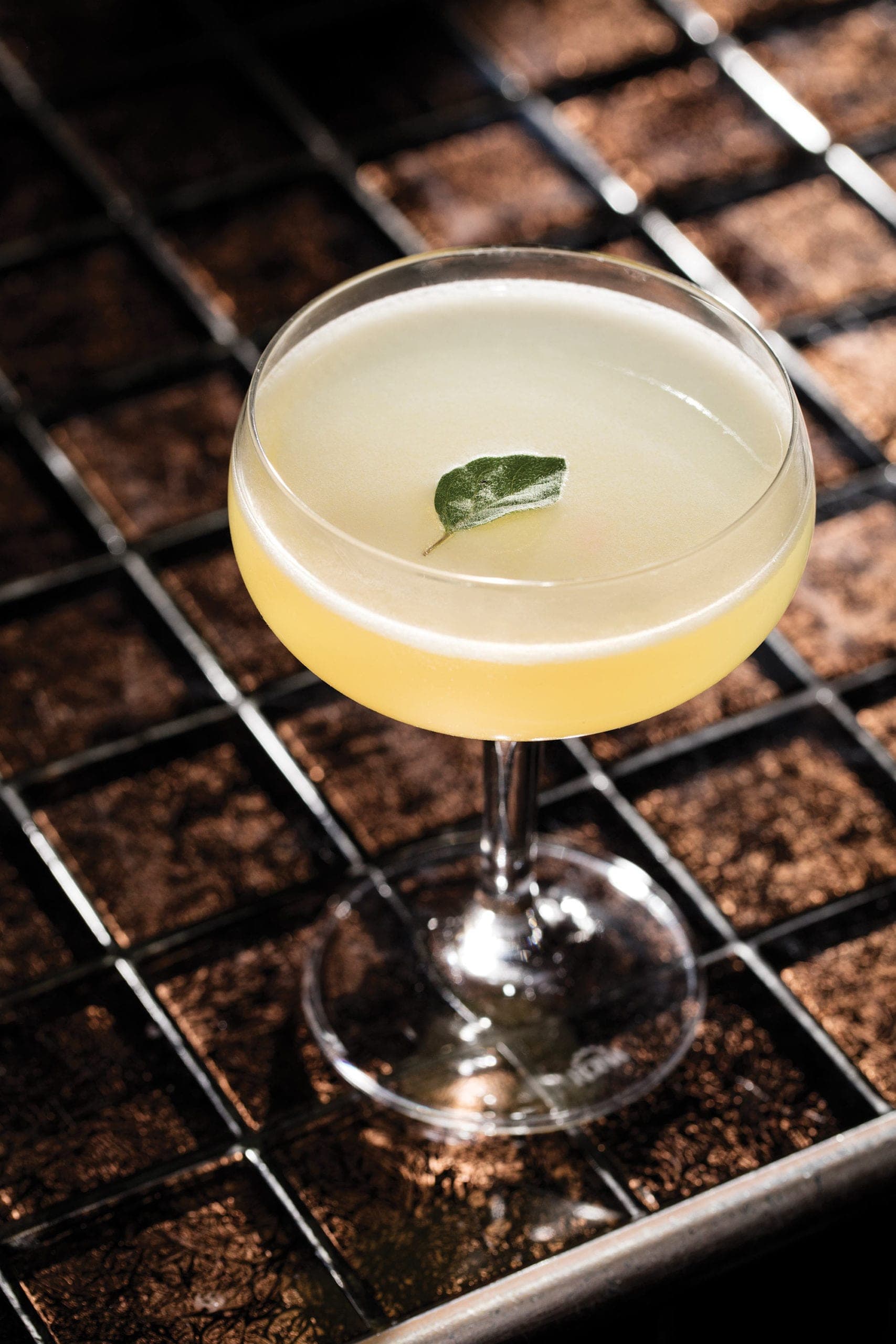 Herb Alpert Cocktail