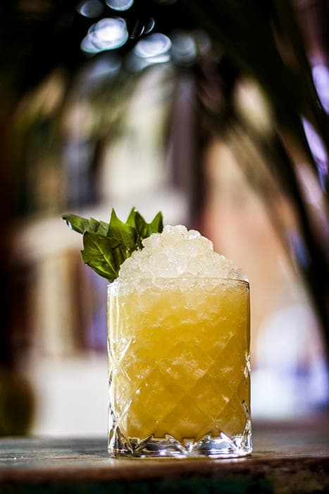 Mai Tai Riff: Secret Life of Plants