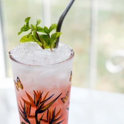 Pomegranate Mojito