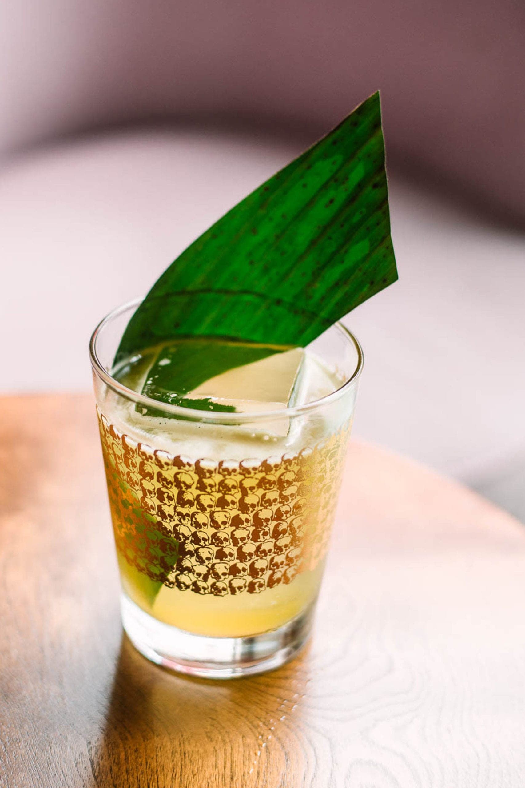 The Jungle Cat From J & Tony’s