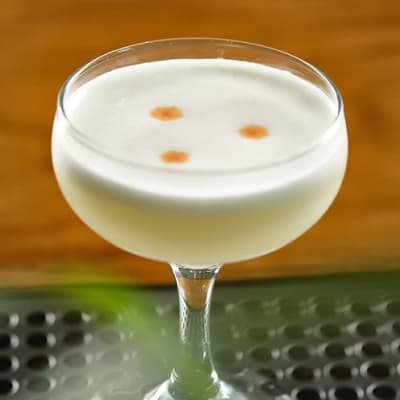 Toasted Coconut Pisco Sour